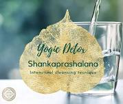 Yoga detox workshop