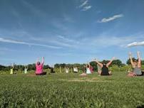 Yoga in the Vineyard — Lotus Root Yoga llc