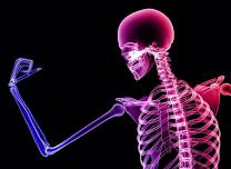 Nutrition for Strong Bones