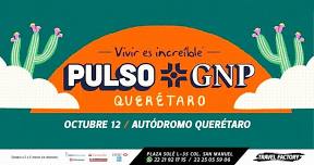 Pulso GNP / Tour desde Puebla