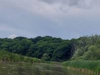 Paddle - Spencer Creek to Cootes Paradise