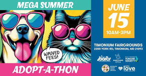 Mega Summer Adopt-a-thon