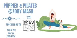 Puppies and Pilates at Zony Mash! — Zony Mash Beer Project