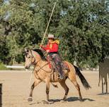 Sue Watkins Working Equitation Clinic