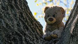 Teddy Bear Picnic and Tea