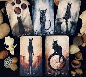 Tarot Cards and Cats