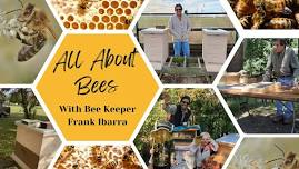 All About Bees with Frank Ibarra