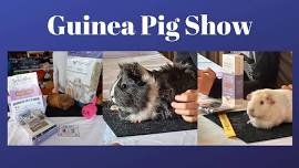 GUINEA PIG SHOW - Wellington