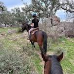 Llano Horsemanship Camp  — Untitled