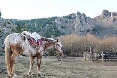 Horseback Riding at Estancia San Ramón: Full Day Experience with Picnic Near Bariloche