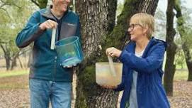 Full Moon Sound Healing under the stars with Bob & Amelia