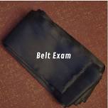 Belt Exam