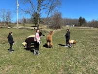 Farm visit for kids