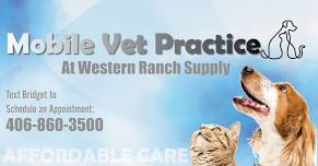 Mobile Vet Practice