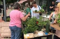 Hoosac Harvest Seedling Swap