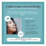 Calm your overwhelm - Guided visualisation Workshop