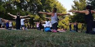 Basic Yoga in the Gardens for Beginners