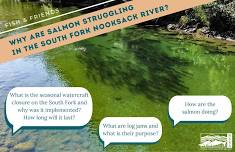 Why Are Salmon Struggling in the South Fork Nooksack River? Presentation and Q and A with Sarah Brown