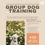 Group Dog Training with Edgewater Animal Shelter!