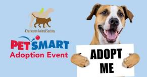 Adoptions at PetSmart Mount Pleasant