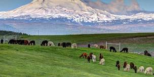 National Alpaca Farm Days