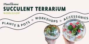 Succulent Terrarium Workshop