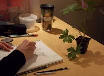 Spring Botanical Art Series