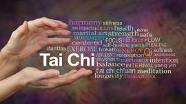 Tai Chi for Wellness Series