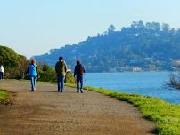 Blackies to Tiburon Walk and Coffee