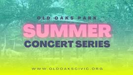 Summer Concert Series:  The William Brady Project