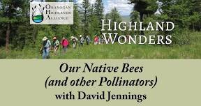 Our Native Bees (and Other Pollinators) with David Jennings