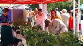 Special Plant and Garden Fair at Ushaw