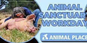 Animal Sanctuary Workday