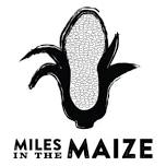 Miles in the Maize