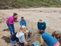 Beachcombing