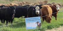 Louisville Grasslands Spring Field Trip