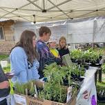 Student-Led Spring Plant Sale — Classroom in Bloom