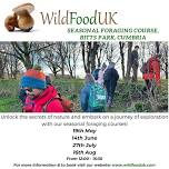 Cumbria, Bitts Park Spring Foraging Course