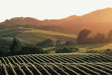 Tasting Event: Wines of Sierra Foothills and Lodi Regions of California