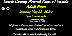 Adult Prom