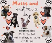 Mutts and Mother's Day