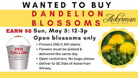 DANDELION COLLECTION AT ACKERMAN WINERY