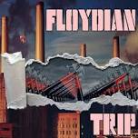 Floydian Trip: The Glove Theatre