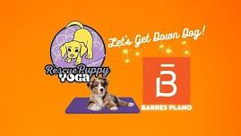 Rescue Puppy Yoga @ Barre3 Plano