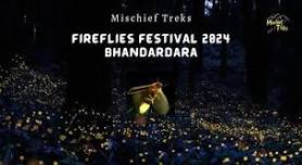 BHANDARDARA FIREFLIES FESTIVAL 2024 | Mischief Treks