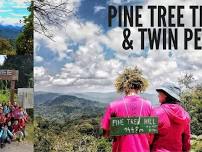 Pine Tree Trail & Twin Peaks Hike + KL ! (Registration closes 19/04/2024)