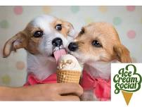 Dog Days of Summer Ice Cream Social