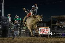 Bull Riding