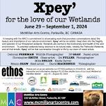 Xpey’ for the Love of our Wetlands, Summer Exhibition