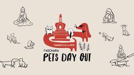 Pets Day Out